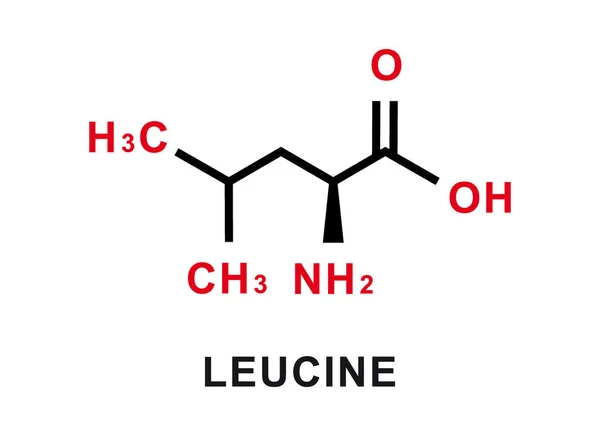 Leucine chemical formula. Leucine chemical molecular structure. Vector illustration – Stock-vektor