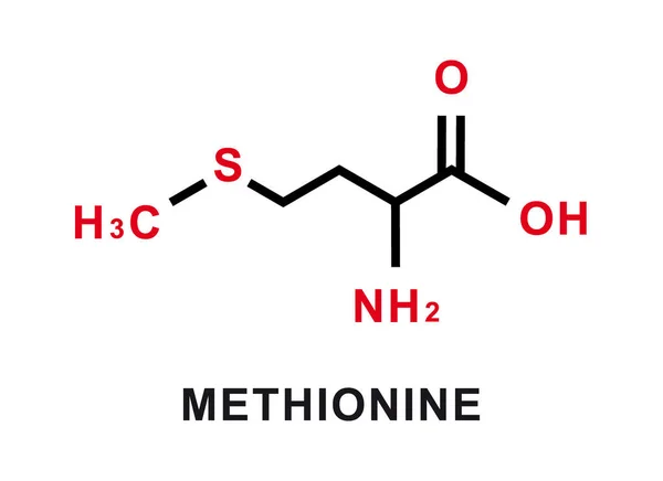 Methionine化学式。Methionine化学分子结构。矢量说明 — 图库矢量图片