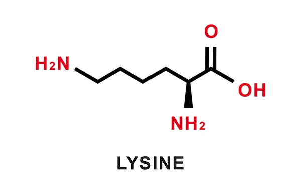 Lysine chemical formula. Lysine chemical molecular structure. Vector illustration – Stock-vektor