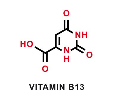 B13 vitamini kimyasal formülü. B13 vitamini kimyasal moleküler yapısı. Vektör illüstrasyonu