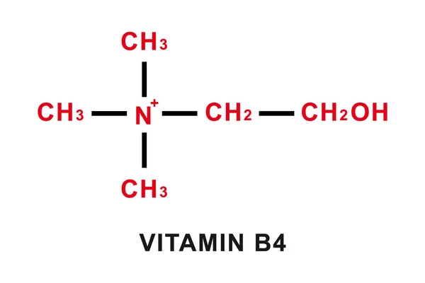 Vitamin B4 chemical formula. Vitamin B4 chemical molecular structure. Vector illustration — Stockvektor