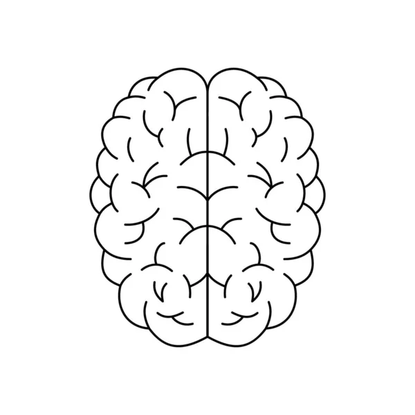 Icono Línea Cerebral Humana Símbolo Cerebral Signo Sano Órgano Interno — Archivo Imágenes Vectoriales