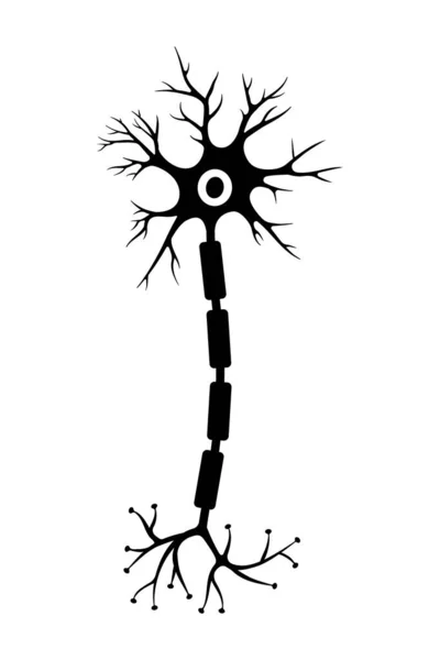 Brain Neuron Symbol Human Neuron Cell Sign Synapses Myelin Sheat — Stockvektor