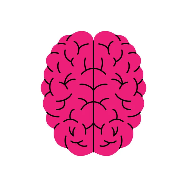 Symbole Cérébral Rose Icône Cerveau Humain Rose Signe Organe Interne — Image vectorielle