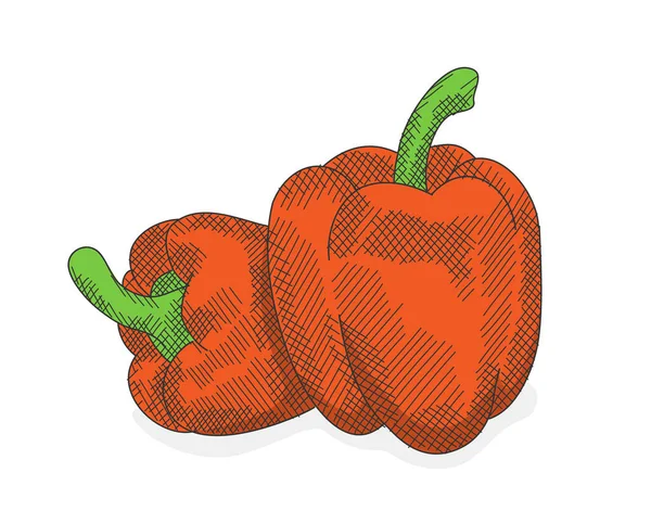 Barevný Paprikový Ručně Kreslený Náčrt Červená Paprika Ilustrace Rytém Stylu — Stockový vektor