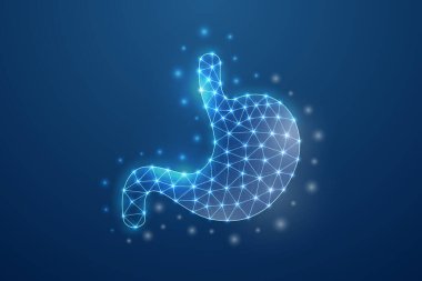 Mide 3D sembolü. Mavi düşük polimerli noktalar birleşmiş. Sindirim sistemi, insan nakli tasarım tasarımı illüstrasyonu. Organ anatomisi çokgen kablo çerçevesi mavi arkaplanda izole edildi.
