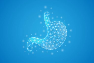 Mide düşük poli sembolü ve beyaz noktalar. Mavi arka planda izole edilmiş 3d geometrik çokgen Organ anatomisi. Sindirim sistemi, nakil tasarım vektör çizimi.
