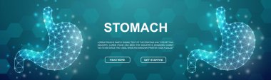 Mide çokgeni baş promosyon afişi için. İniş sayfası için yatay düşük poligonlu poster çizimi. Sindirim sistemi, Organ anatomisi tasarım şablonu çizim konsepti.