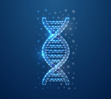 DNA spiral 3d symbol with connected dots in blue low poly style. Biotech, science, genome design concept illustration. Genetic helix polygonal wireframe isolated on blue background.