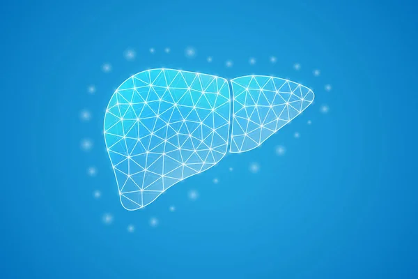 Liver Low Poly Symbol White Connected Dots Geometric Polygonal Organ — Vetor de Stock