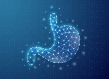 Mide çokgeni sembolü ikili kod arkaplanı. Sindirim sistemi konsepti tasarım vektör çizimi. Mavi Organ anatomisi düşük poli sembolü İniş sayfası için bağlantılı noktalar, reklam sayfası.