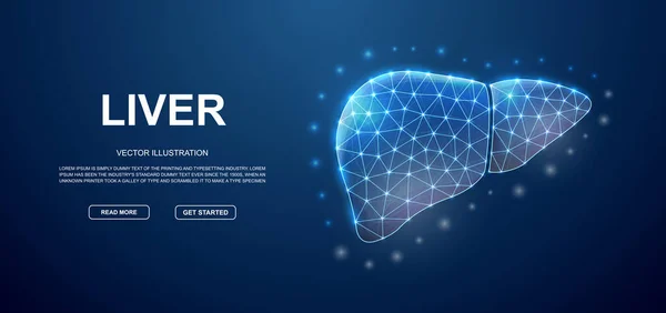Liver Low Poly Symbol Connected Dots Blue Landing Page Template — Wektor stockowy