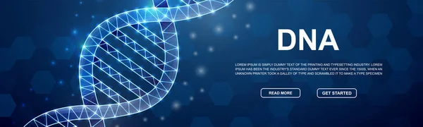 Dna Spiral Low Poly Symbol Head Promotion Banner Biotech Design — Image vectorielle