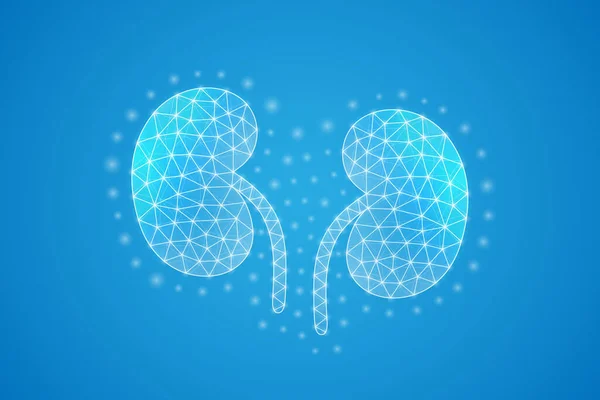 Kidneys Low Poly Symbol White Connected Dots Geometric Polygonal Internal — Vettoriale Stock