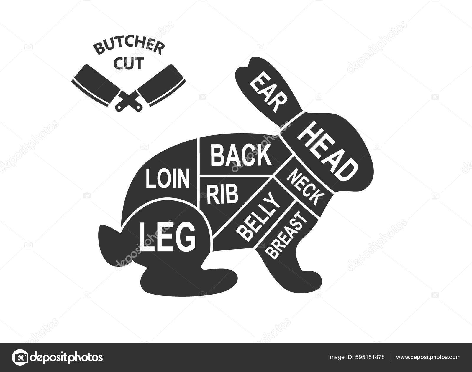 Rabbit Scheme Cuts Butcher Diagram Poster Meat Diagram Scheme