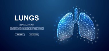 Lungs 3d low poly symbol with connected dots for blue landing page template. Respiratory system design illustration concept. Polygonal Organ anatomy illustration for homepage design, advertising page.