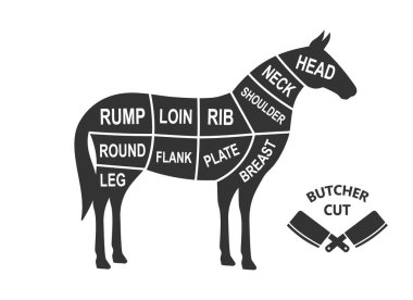 Horse scheme cuts. Butcher diagram poster. Meat diagram scheme illustration. Cuts of horse meat isolated on white background.