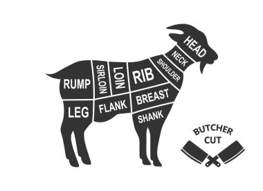 Goat scheme cuts. Butcher diagram poster. Meat diagram scheme illustration. Cuts of goat meat isolated on white background.