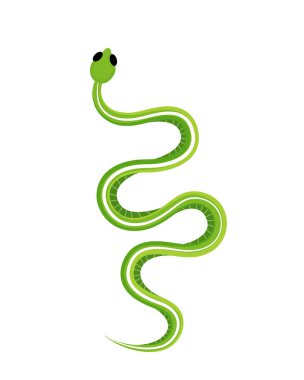 Tropical exotic rattlesnake. Smooth green snake. Poisonous snake isolated on white background. Hand drawn vector illustration.