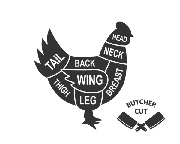 Chicken Scheme Cuts Butcher Diagram Poster Meat Diagram Scheme Illustration — Vector de stock