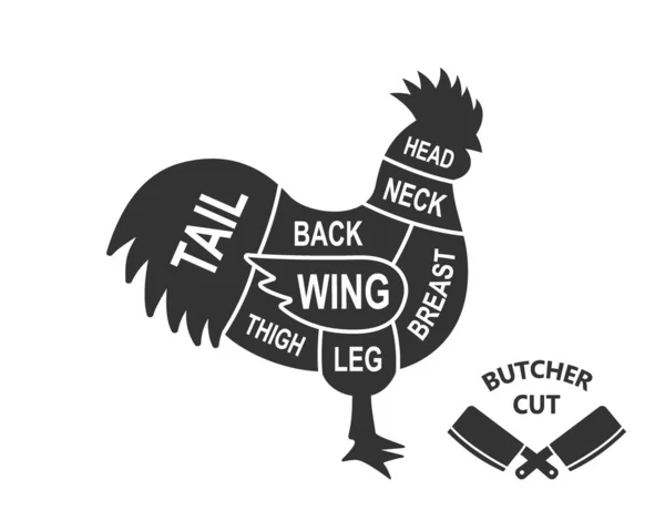 Rooster Scheme Cuts Butcher Diagram Poster Meat Diagram Scheme Illustration — Stockvektor