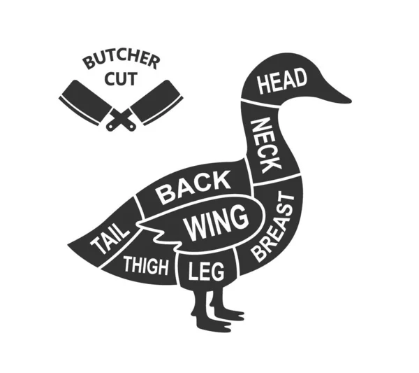 Duck Scheme Cuts Butcher Diagram Poster Meat Diagram Scheme Illustration — 스톡 벡터