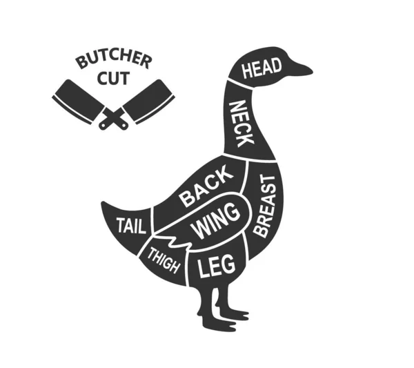 Goose Scheme Cuts Butcher Diagram Poster Meat Diagram Scheme Illustration — 스톡 벡터