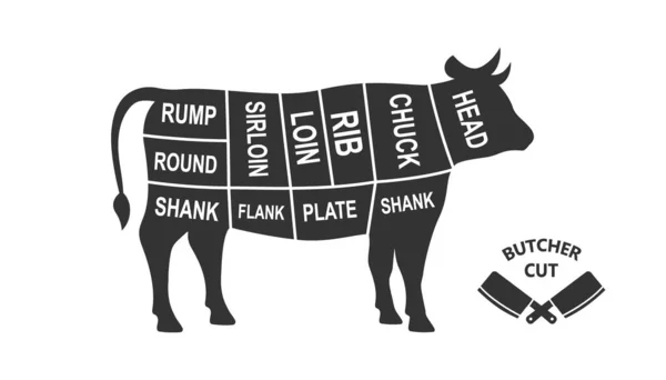 Cow Scheme Cuts Butcher Diagram Poster Meat Diagram Scheme Illustration — Vettoriale Stock