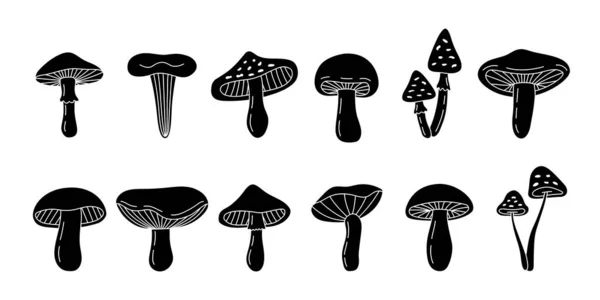 Mushroom Sketch Set Poisonous Edible Mushrooms Hand Drawn Banner Different — Stockvector