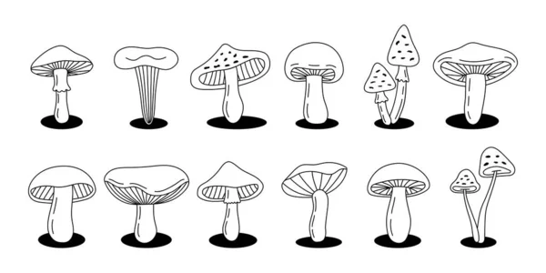 Mushroom Outline Sketch Set Poisonous Edible Mushrooms Line Banner Different — Vettoriale Stock