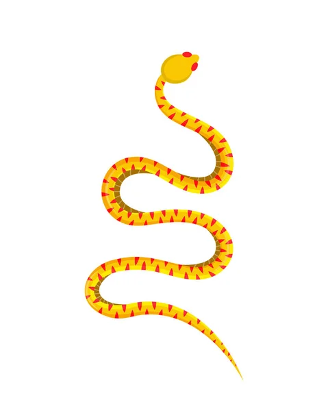 Tropical Toxic Reptile Colored Snake Dangerous Exotic Rattlesnake Isolated White — Stockvektor
