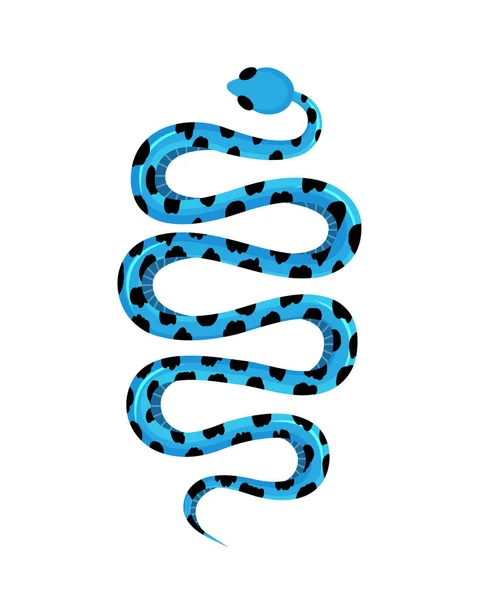 Заборонений Морський Крам Блакитна Змія Тропічна Токсична Рептилія Небезпечна Екзотична — стоковий вектор