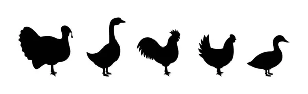Set Farm Birds Silhouettes Turkey Chicken Rooster Duck Goose Black — 스톡 벡터
