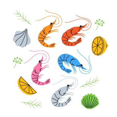 Shrimp prawn with lemon slices, garlic and rosemary. Shrimp dish with herbs seasoning. Fresh seafood meal menu hand drawn illustration. Seafood isolated on white background.