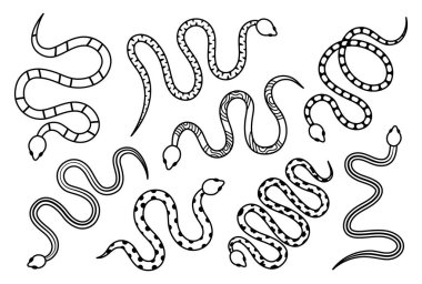 Black snakes silhouettes. Tropical toxic reptiles illustration. Dark hand drawn poisonous snakes for tattoo design. Dangerous exotic rattlesnakes isolated on white background.