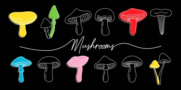 Set Mushroom Icons Black Mushrooms Outline Banner Different Mushrooms Line — Vettoriale Stock