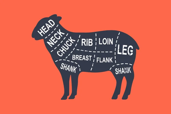 Sheep Diagram Cuts Butcher Scheme Poster Cuts Sheep Meat Meat — Vettoriale Stock