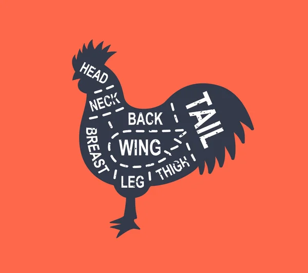 Rooster Diagram Cuts Butcher Scheme Poster Cuts Rooster Meat Meat — Vector de stock