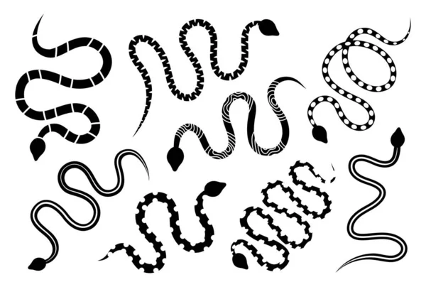 Black snakes silhouettes. Astrology symbol. Black snakes elements for tattoo design. Dangerous exotic rattlesnakes isolated on white background. Hand drawn vector illustration.