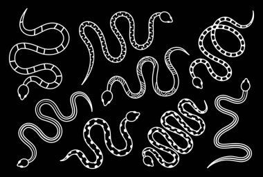 Silhouettes of snakes. Tropical toxic reptiles illustration. Astrology symbol. Dark snakes elements for tattoo design. Dangerous exotic rattlesnakes isolated on black background.
