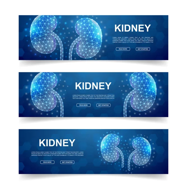 Set Three Kidneys Horizontal Banners Horizontal Illustration Homepage Design Promo — Vector de stock
