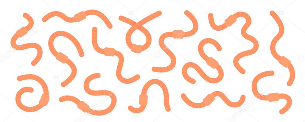 Set of curled earthworms. Compost earthworms illustration. Terrestrial annelids worms. Invertebrate crawling worms isolated on white background. Hand drawn vector illustration.