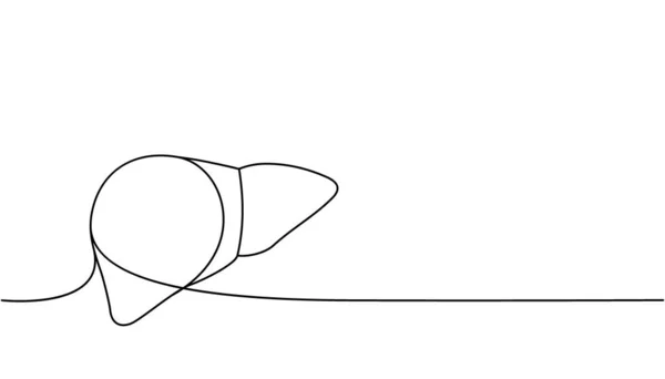 인간의 집니다 인간의 장기는 직선의 줍니다 Vector Minminalist Linear Illustration — 스톡 벡터