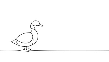 Sürekli çizim yapan bir çizgi örtün. Ördek sembolü Çiftlik kuşu sürekli bir çizgi çiziyor. Vektör minimalist doğrusal çizim. Beyaz arkaplanda izole.