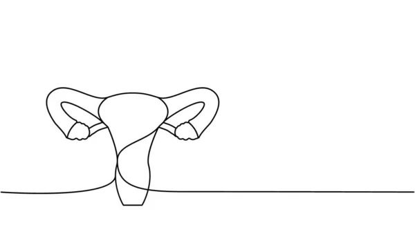 Menschliches Fortpflanzungssystem Eine Linie Ununterbrochene Zeichnung Menschliches Organ Kontinuierliche Darstellung — Stockvektor