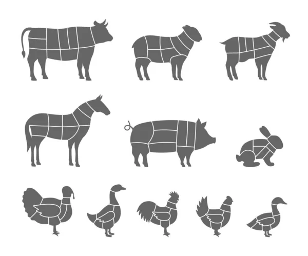 Réduction Régime Applicable Aux Animaux Élevage Affiche Diagramme Boucher Cochon — Image vectorielle