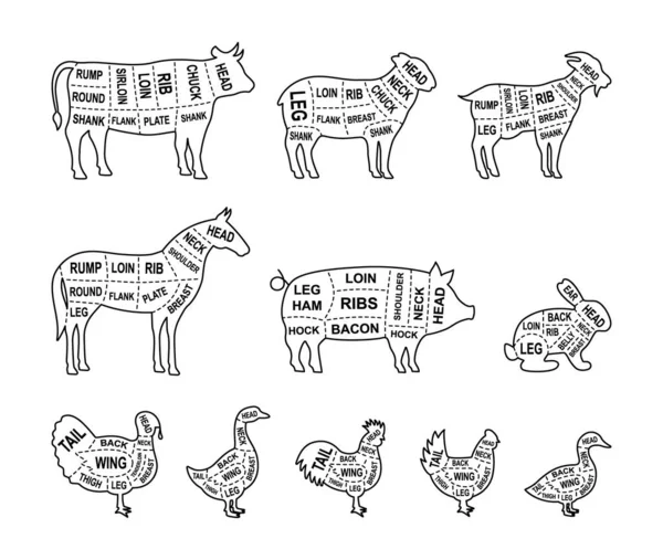 Ряд Фермерських Тварин Окреслюють Розрізи Pig Horse Turkey Koat Sheep — стоковий вектор