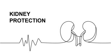 Kalp atışlı insan böbrekleri. Sürekli çizim halinde. İnsan organı sürekli tek bir çizgiden oluşuyor. Vektör minimalist doğrusal çizim. Beyaz arkaplanda izole