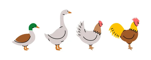 Conjunto Aves Granja Pollo Gallo Pato Siluetas Ganso Ilustración Vectorial — Vector de stock