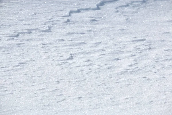 Κοντινό Πλάνο Πλήρες Πλαίσιο Καθαρό Λευκό Λαμπερό Χιόνι — Φωτογραφία Αρχείου